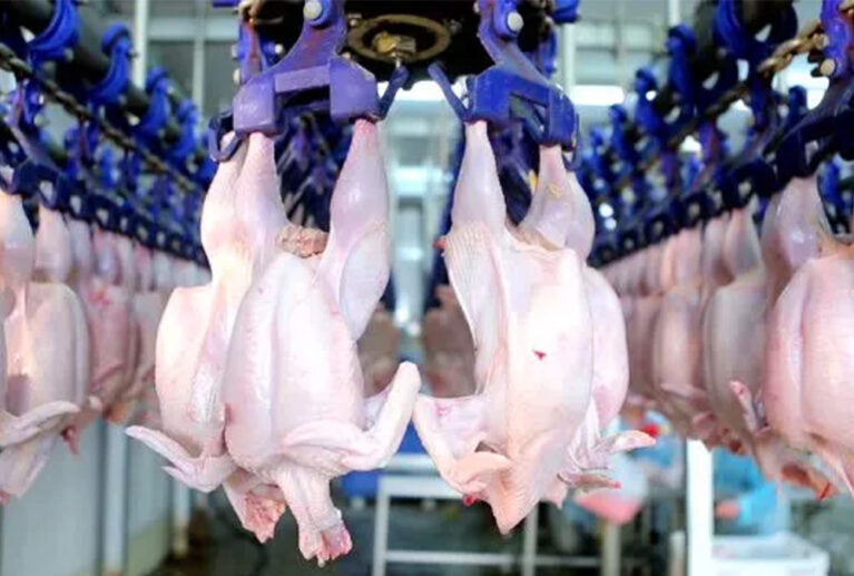Chicken processing and value addition are important aspects of Teekay Poultry Farm that help increase the market value of our poultry products.