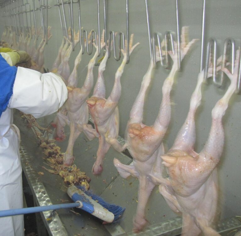 Chicken processing and value addition are important aspects of Teekay Poultry Farm that help increase the market value of our poultry products.